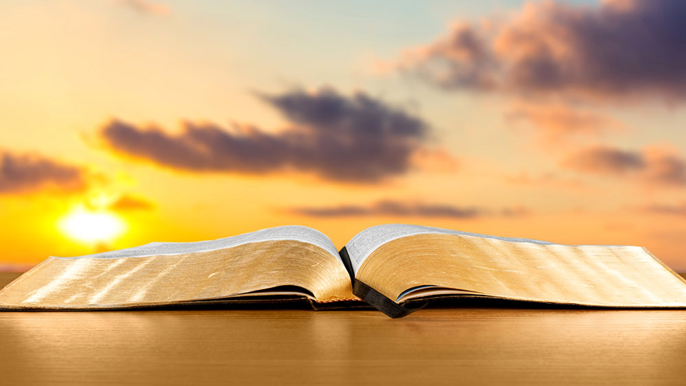 La sabiduría de la Biblia: las mejores reflexiones para la vida cotidiana